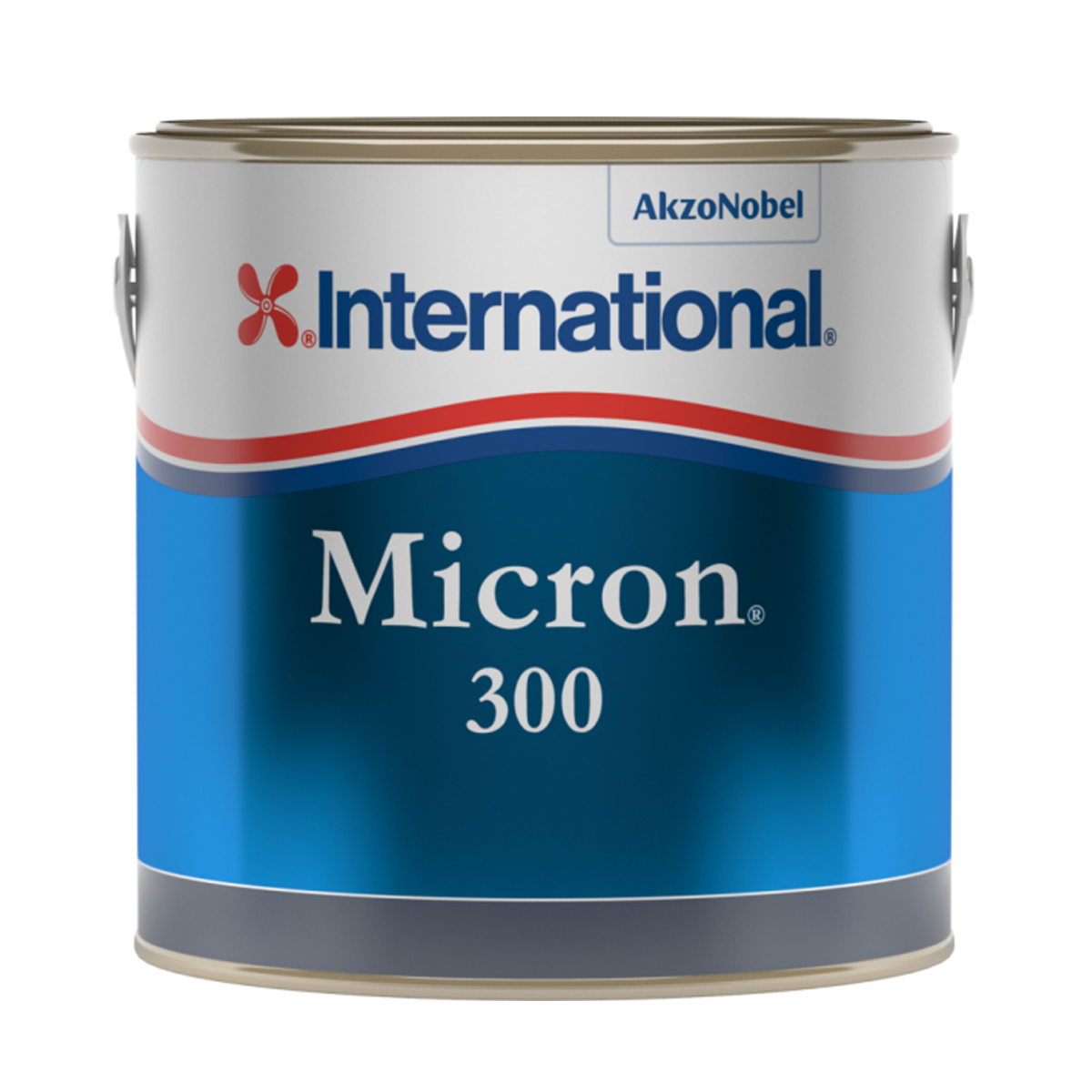 Micron 300